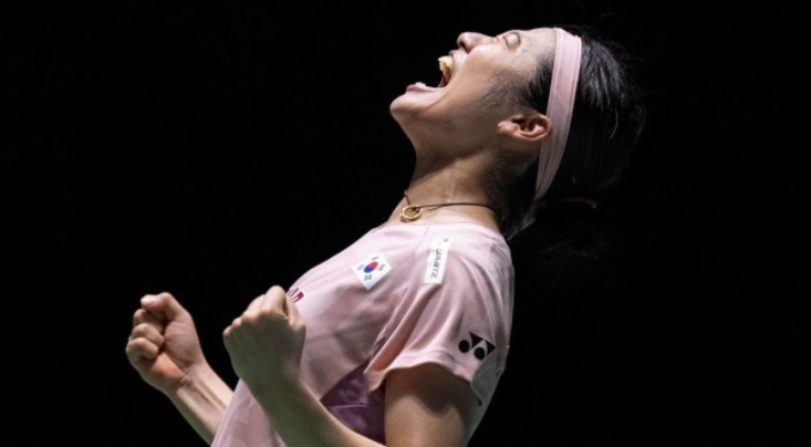 吸金王, 换言之安洗, net 吸金王, 换言之安洗, net